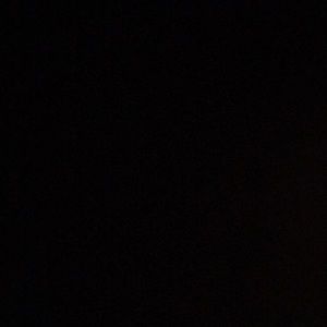 Meet your Posher, Brayden